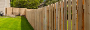 Wood fence in back yard