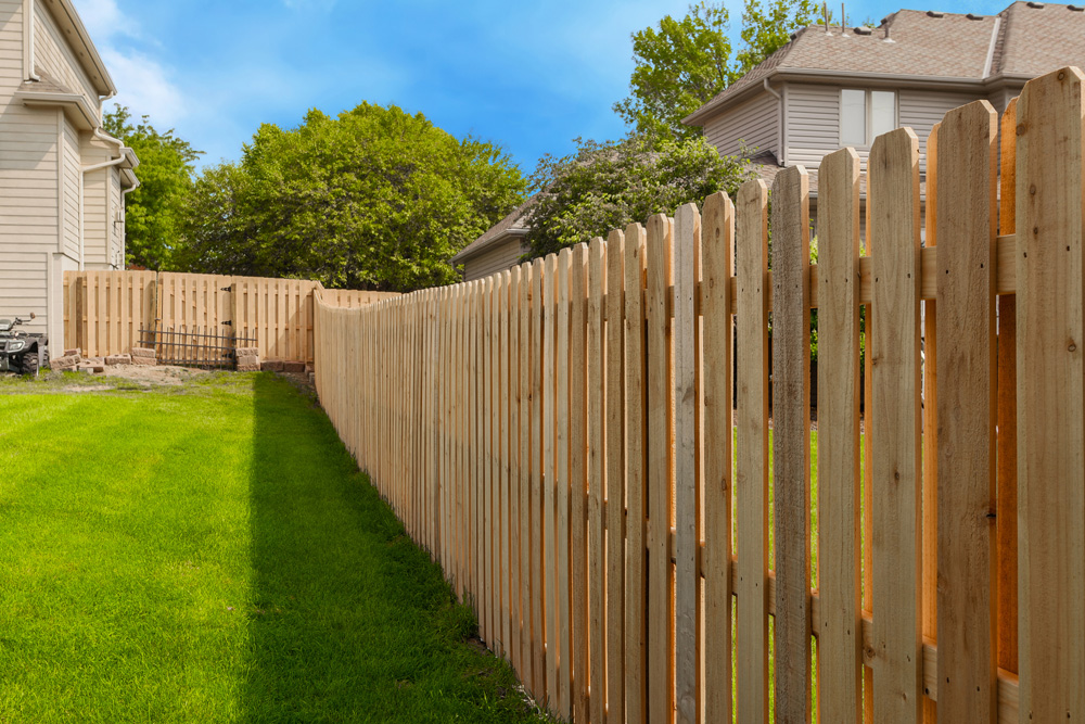 Wood fence in back yard